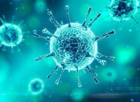 7 поширених питань про новий коронавірус 7 поширених питань про новий коронавірус