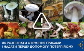 ОТРУЄННЯ ГРИБАМИ: ЯК УНИКНУТИ, ВИЯВИТИ ТА ДОПОМОГТИ