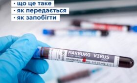 Вірус Марбург: що це таке, як передається та як запобігти