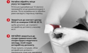 "Маршрут пацієнта" в разі укусу тварини