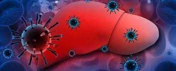 Профілактика вірусних гепатитів