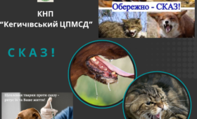 Факти про сказ