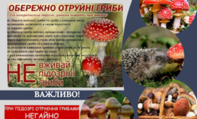 Обережно отруйні гриби